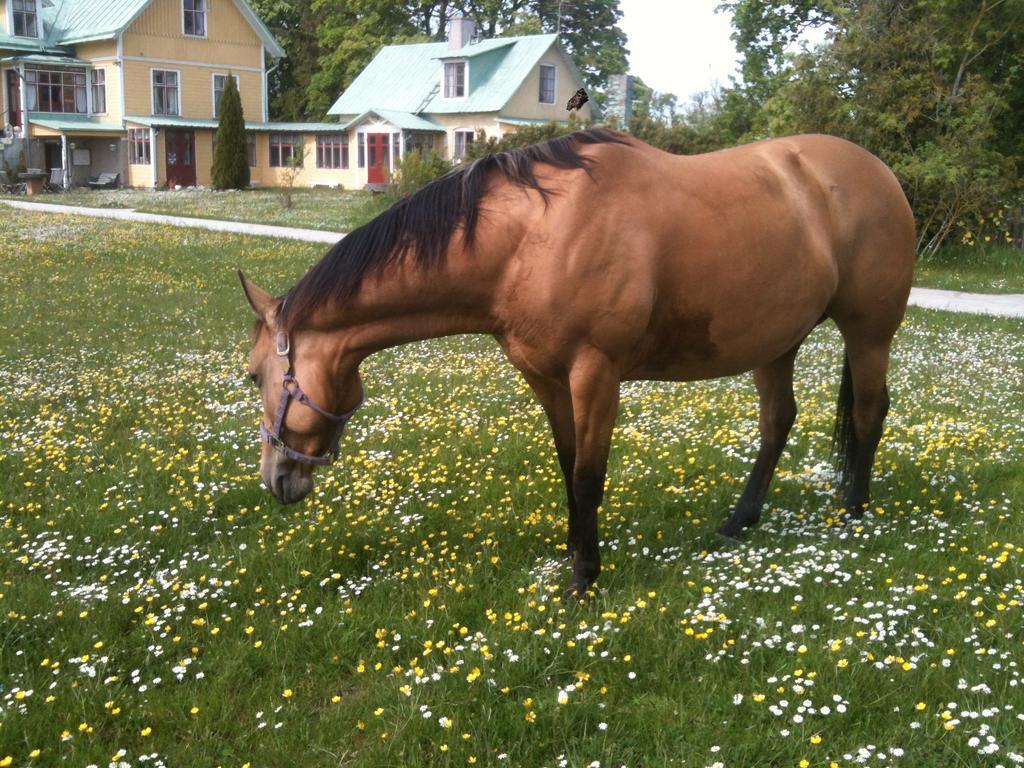 Änggårde B&B Huse Exteriör bild